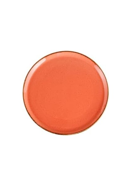 04ALM001649 Seasons Pizza Tabağı, fiyatları