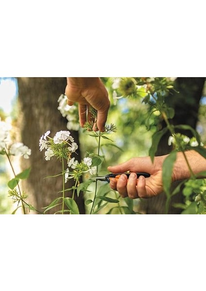 Masif Budama Makası, Turuncu/siyah modelleri
