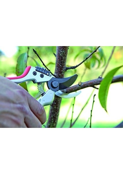 J463 Budama, 210 mm Komple Uzunluk, 25 mm Dal Kesme Çapı fiyatları