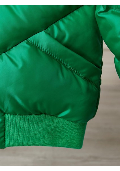 Erkek Bebek Kapüşonlu Kışlık Mont 51332 modelleri