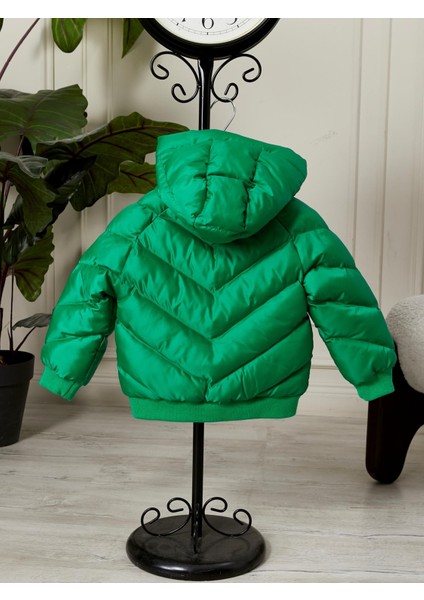 Erkek Bebek Kapüşonlu Kışlık Mont 51332 fırsatları