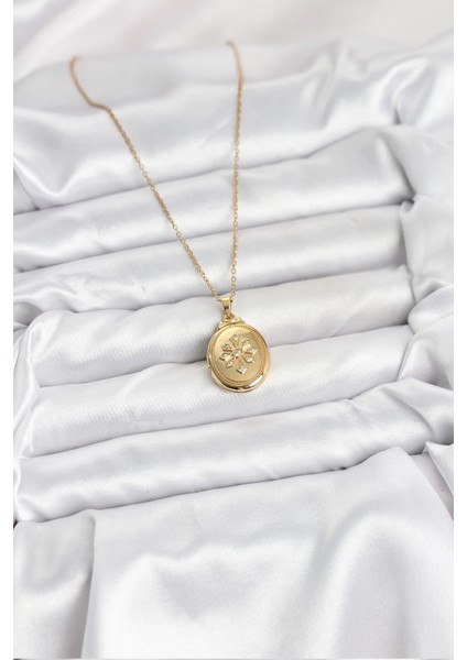 316L Çelik Zincir Gold Renk Kapaklı Açılabilir Model Kadın Kolye fiyatları