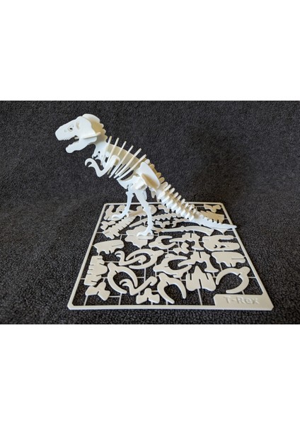 3D Baskı T-Rex Dinozor Iskelet Maketi– 3D Baskı Plastik Figür