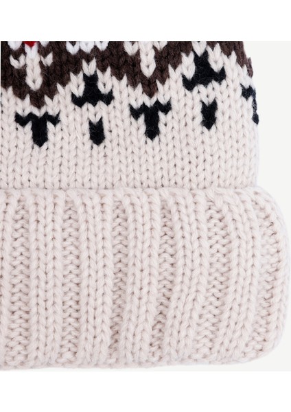 Içi Polarlı Örgülü Desenli Bere fiyatları