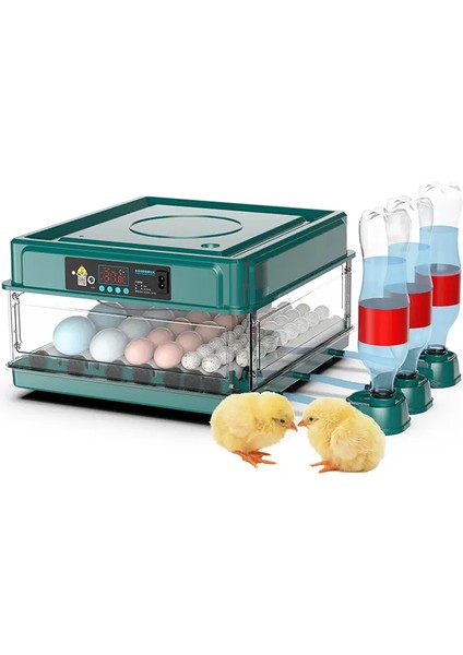 70 Yumurtalık Tavuk Kuluçka Makinesi | Hassas Sıcaklık ve Nem Kontrolü