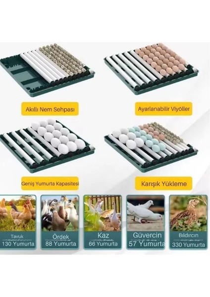 70 Yumurtalık Tavuk Kuluçka Makinesi | Hassas Sıcaklık ve Nem Kontrolü