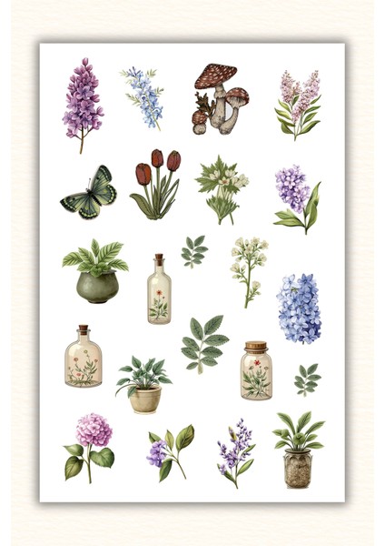 2'li Çiçek,bitki Temalı Sticker Seti / Bullet Journal Scrapbook Kolaj Için Uygun fiyatları