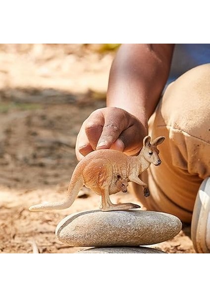 14756 – Okuyan Kanguru, Çok Renkli modelleri