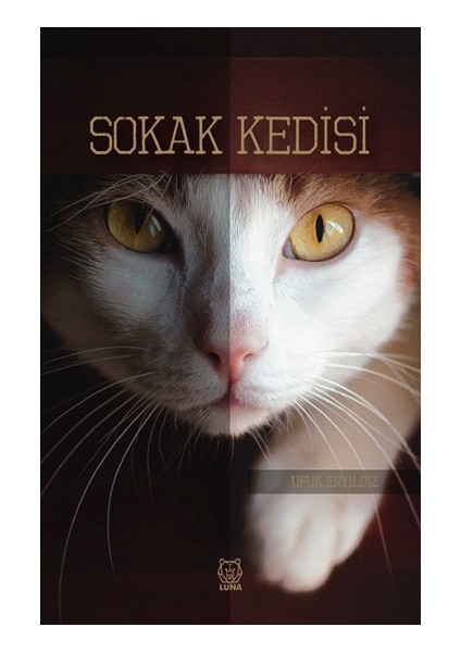 Sokak Kedisi