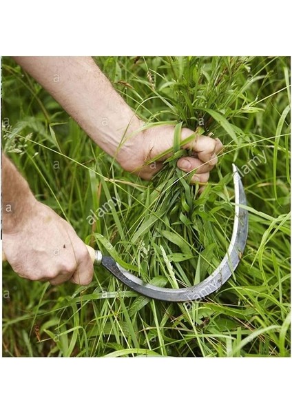 Bahçe Bağ Budama Makası Ağaç Dal Kesme Testeresi Ot Orak Çalı Tırpanı 4 Lü Bahçe Seti fırsatları