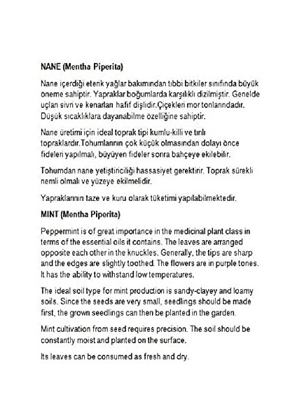 Tarım Ata Tohumu Yerli Anadolu Nanesi 0.1 Gram Tohum fiyatları