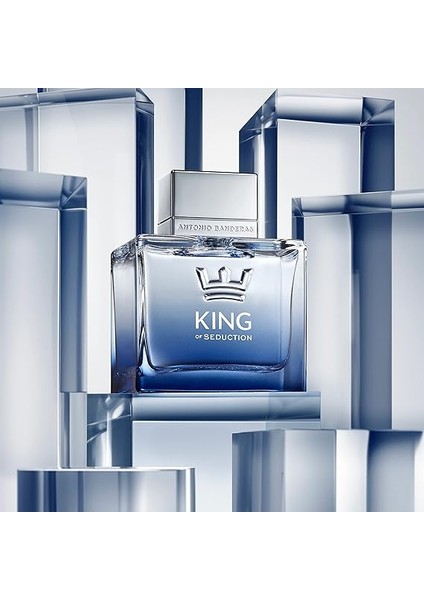 Banderas Kıng Of Seductıon Bay Edt 100 ml modelleri