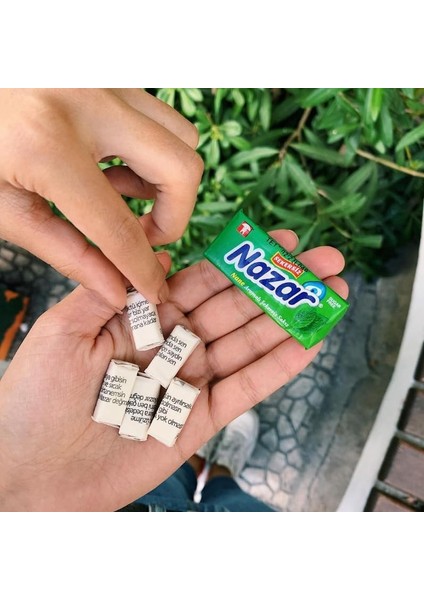 Sakız Stick Nane Aromalı 5 Li (20 Adet) fiyatları