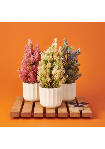 Dekor Yapay Çam - Asorti - 10,5X26 cm fiyatları