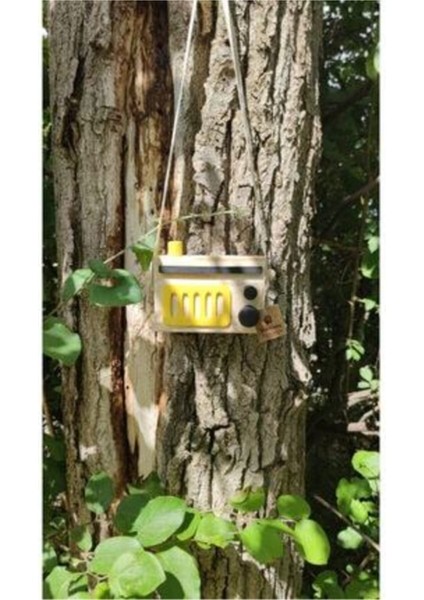 Ahşap Çocuk Oyuncağı, Retro Dekoratif Radyo, Sarı Civciv, Kız-Erkek Nostalji Keyfi fiyatları