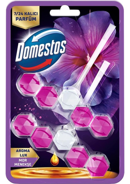 Domestos Tuvalet Bloğu Aroma Lux Hibiskus & Kırmızı Meyveler 100 G modelleri