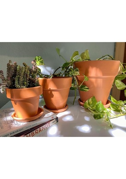 Konik Saksı+Tabak • Abstract No.03 (Orta) modelleri