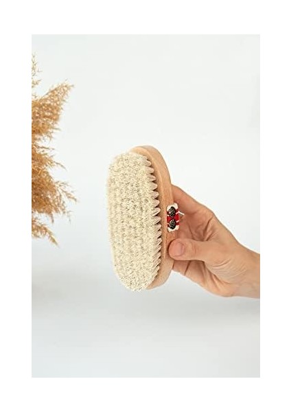 MAR'LE%100 Doğal At Kılı Fırçası + Selülit Karşıtı Masaj Yağı 200 ml + Selülit Giderici Ahşap Masaj Aleti fiyatları