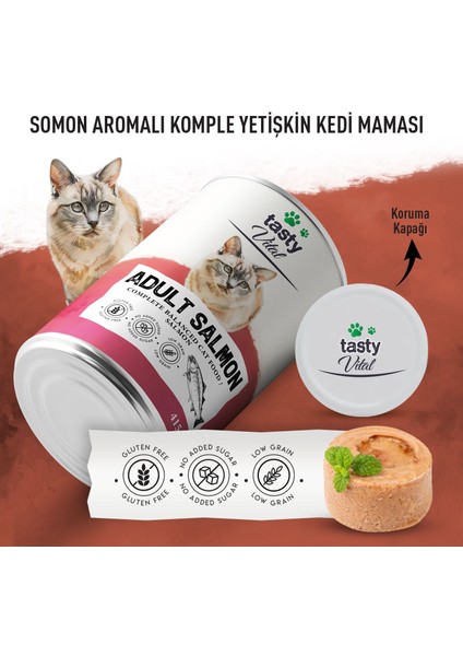 Somonlu Yetişkin Kedi Konserve 415 gr modelleri