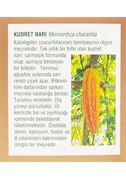 Arifoğlu Zeytinyağlı Kudret Narı Macunu 300GR