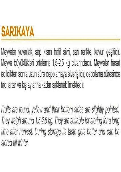 Tarım Ata Tohumu Yerli Tatlı Kavun Sarıkaya 100 Adet Tohum fiyatları