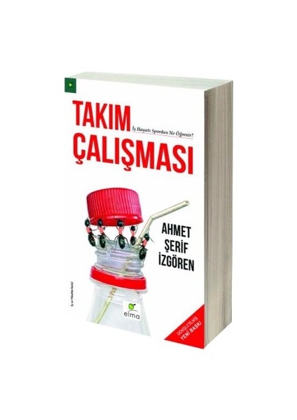 Takım Çalışması