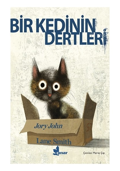 Bir Kedinin Dertleri