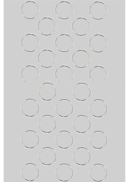 Kadın 36'lı Trendy Silver Saç Küpe Seti fiyatları