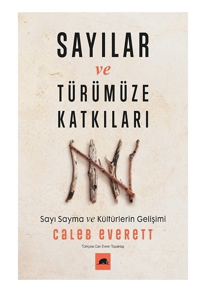 Sayılar ve Türümüze Katkıları