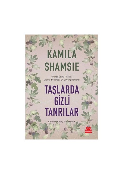 Taşlarda Gizli Tanrılar