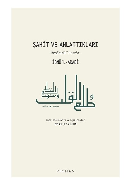 Şahit ve Anlattıkları