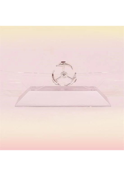 Dekoratif Masa Üstü Obje Manyetik Kinetik Orbital Dönen Yunuslar