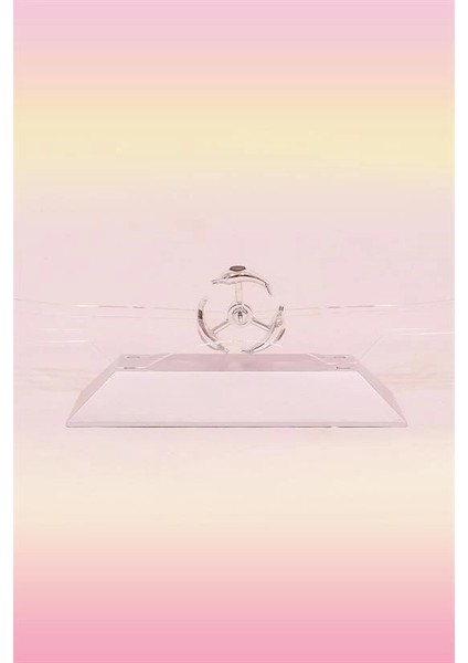 Dekoratif Masa Üstü Obje Manyetik Kinetik Orbital Dönen Yunuslar fırsatları