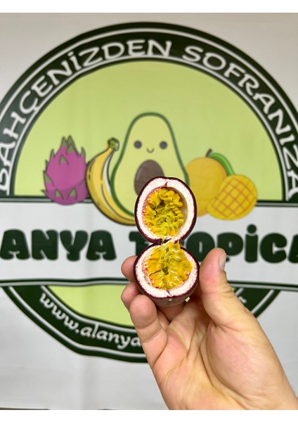 Pasiflora Çarkıfelek Meyvesi(3 Adet)