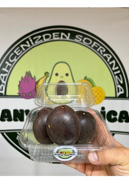 Pasiflora Çarkıfelek Meyvesi(3 Adet) modelleri