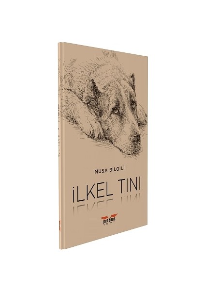 Ilkel Tını