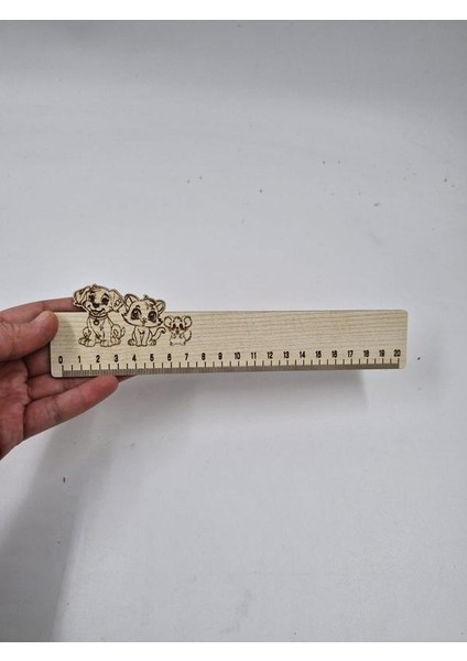 Ahşap Cetvel 20 cm fiyatları