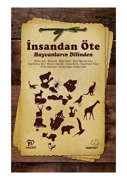 Insandan Öte