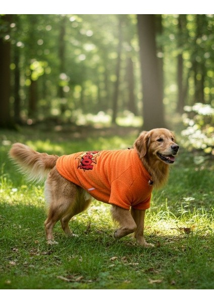 Orta ve Büyük Irk Polar Ceket Johari