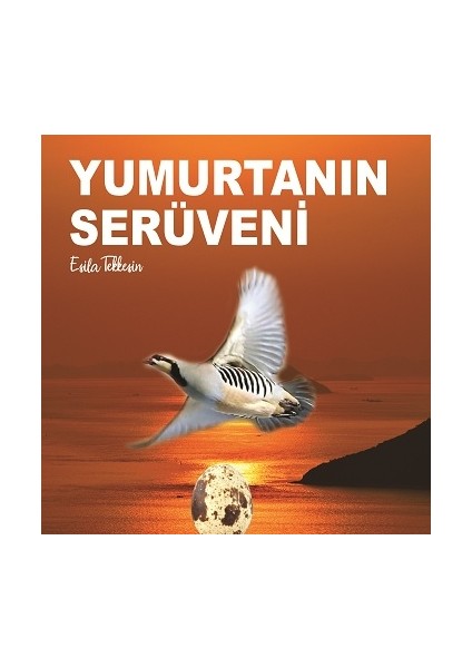 Yumurtanın Serüveni