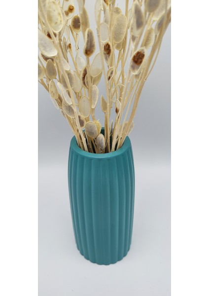 | Petra Vazo | Buzlu Yeşil modelleri