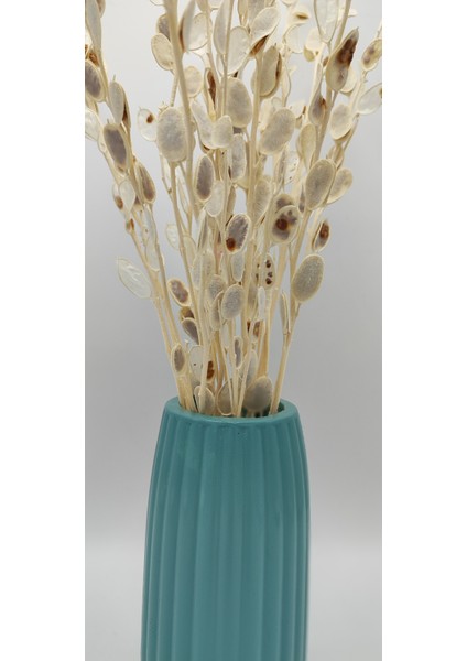 | Petra Vazo | Buzlu Yeşil indirimleri