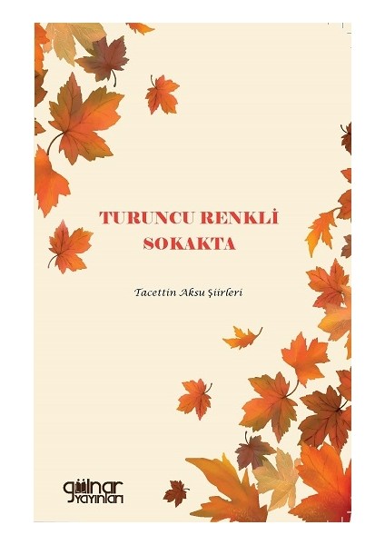 Turuncu Renkli Sokakta