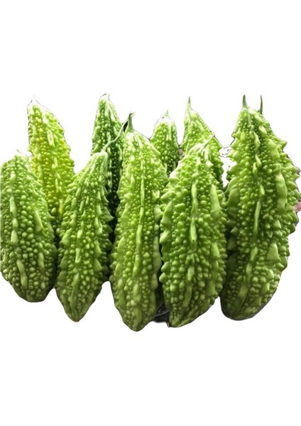Taze Yeşil Kudret Narı Meyvesi fiyatları
