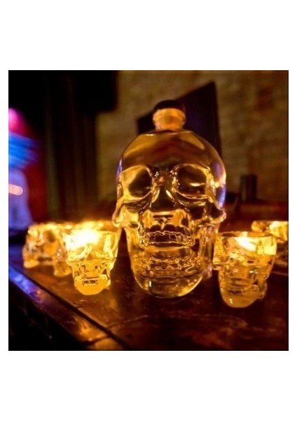 Kuru Kafa Şişe 550 ml - Lisinya fiyatları