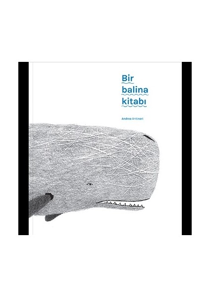 Bir Balina Kitabı