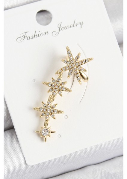 Bfs Pirinç Kutup Yıldızı Model Gold Renk Sağ Kıkırdak Küpe