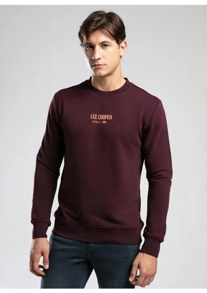 Yuvarlak Yaka Mürdüm Erkek Sweatshırt 261 Lcm 241040 Frose Mürdüm fiyatları