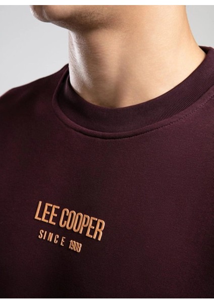 Yuvarlak Yaka Mürdüm Erkek Sweatshırt 261 Lcm 241040 Frose Mürdüm modelleri