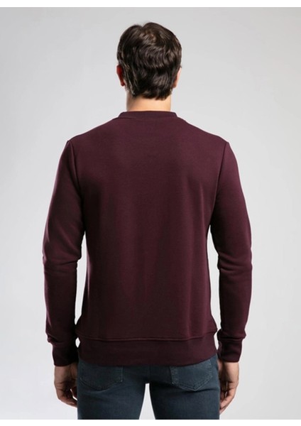 Yuvarlak Yaka Mürdüm Erkek Sweatshırt 261 Lcm 241040 Frose Mürdüm fırsatları